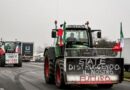Sicilia, la protesta degli agricoltori si allarga: domani trattori in piazza e sindaci al fianco dei manifestanti
