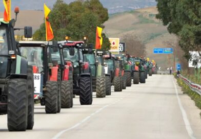 Agricoltura siciliana, il grido di una terra che rischia di non poter più produrre: 3.500 agricoltori in piazza a Palermo